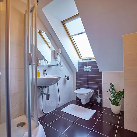 Pension & Restaurant Patriot Trnava 3*