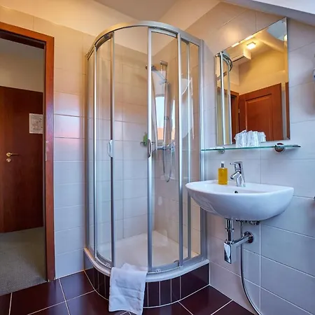 Bed and Breakfast & Restaurant Patriot Τρνάβα