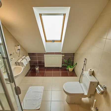 Bed & Breakfast Pension & Restaurant Patriot Trnava