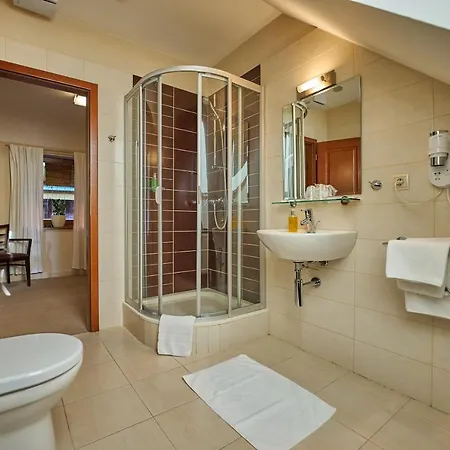 Pension & Restaurant Patriot Trnava Trnava