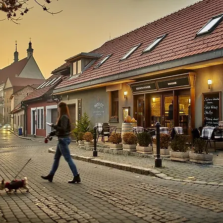 & Restaurant Patriot Trnava